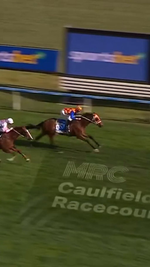 Wow thats some expensive erhhmm!

The Autumn Glow and Autumn Boy are dominating Ausrtalian Horse Racing. If the Autumn Boy wins the Queen Elizabeth Stakes then the Autumn Sun's serving price will be quite expensive.

#randwickraces #horseracing #autumnglow #autumnsun 