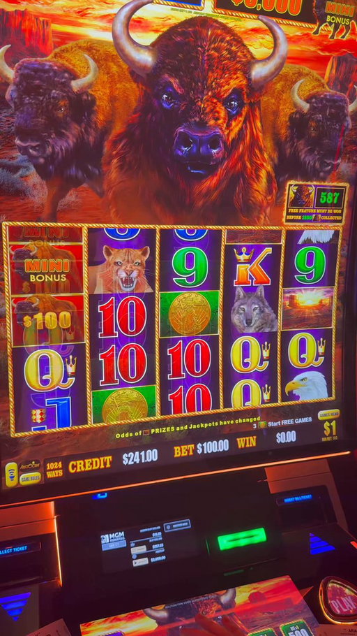 THE BIGGEST WIN OF MY LIFE! #gambling #casino #money #comedy #slots 