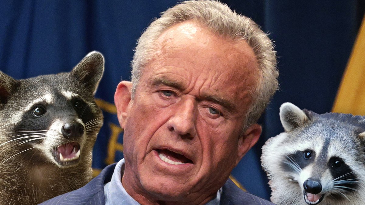Robert F. Kennedy Jr. Cut Penis off Raccoon https://t.co/hfSjc6TGs9 