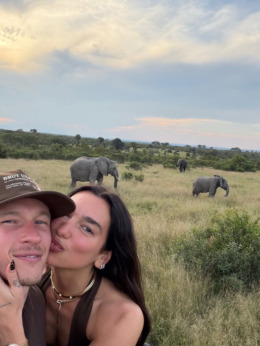 David Attenborough eat your heart out!!!!! 🫀🫀🫀

I just had the most incredible trip of my life in South Africa. Being so close to such beautiful animals in their natural habitat, between Kruger Park and Sabi Sands, was something I can barely put into words. It was truly unforgettable...one of those experiences that stays with you forever