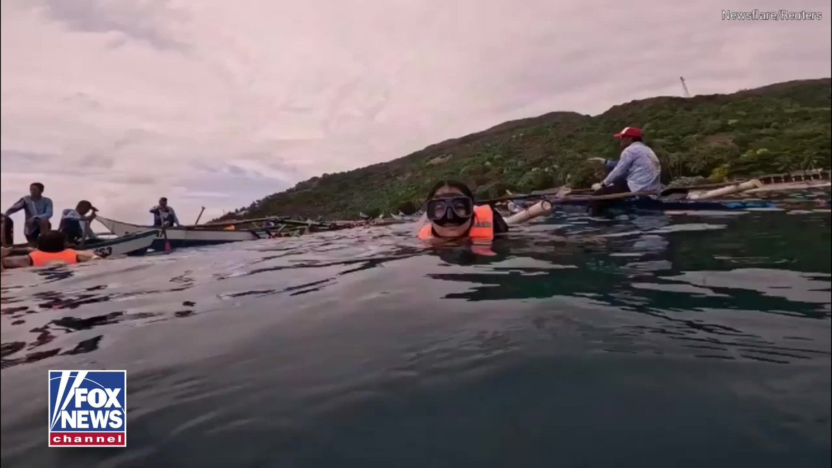 A woman in the Philippines got an unexpected surprise when a massive whale shark approached unnoticed and nudged her arm while she posed for underwater photos. 