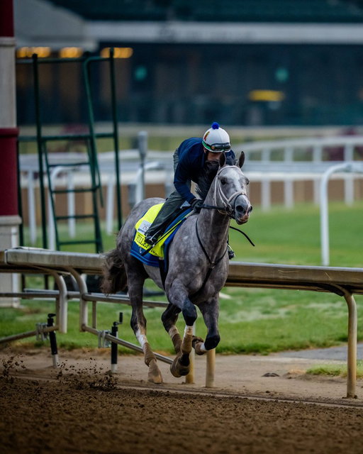 Like if you're betting on the grays. 
