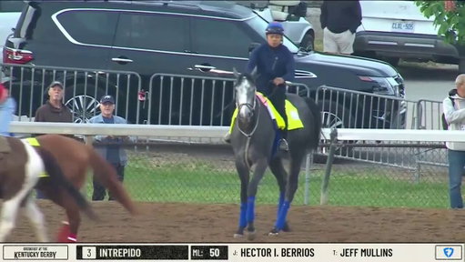 Boing!

GREAT WHITE was feeling frisky on the track Monday morning at @ChurchillDowns. The @johnennis35-trainee needs one defection to make it into the field. 