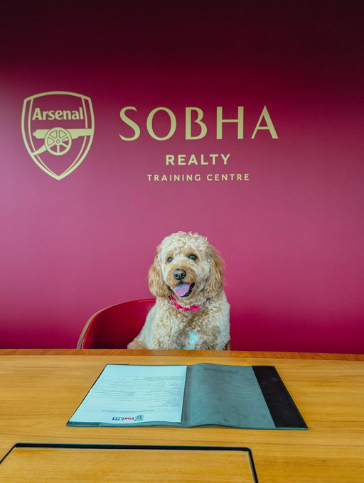 Let’s fetch a pen… 