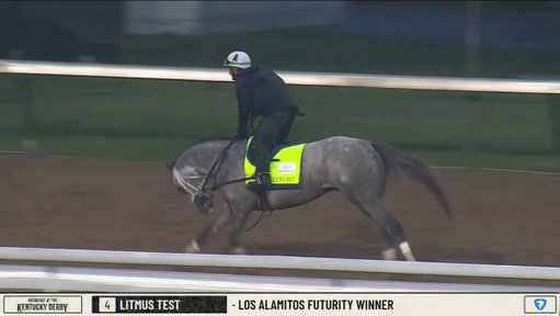 FULLEFFORT for trainer @bradcoxracing galloped April 29 for the Kentucky Derby. The son of @lanesendfarms Liam's Map gallops in draw reins. 