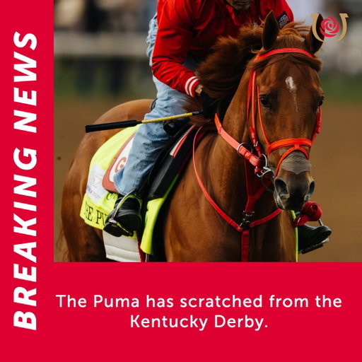 The Puma has scratched from the Kentucky Derby. 
