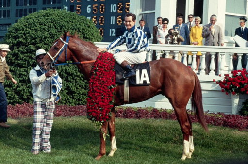 One of the craziest sports stats you'll see:

19 of 20 horses in this year's Kentucky Derby are descendants of Secretariat 

The greatest of all time 