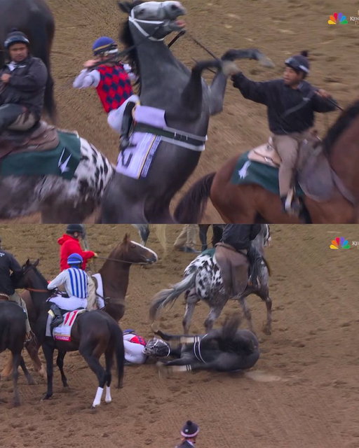 JUST AWFUL 🥺

Great White is now a scratch at the Kentucky Derby after flipping over before the race began. 