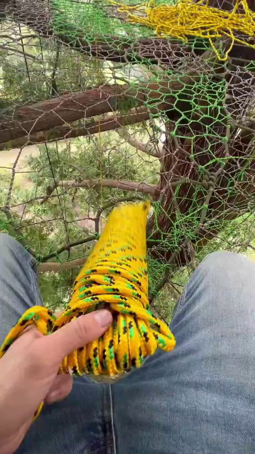 This guy charges $10,000 per install and does it all from a van.  

He doesn't even have a proper website. Just posts videos of his work and the leads come to him.

What is it?  Tree nets. 

He installs custom nets in trees across Sacramento. A handful of jobs per month at $10K each and he's printing money.  

I have not seen anyone else is doing this at scale. This is brilliant. The market is wide open

If you're okay being 100ft up in a tree to get your work done, this might be a good gig for you.