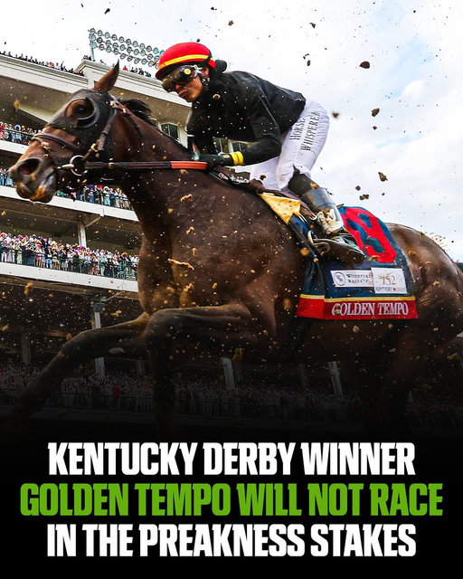 Kentucky Derby winner Golden Tempo will skip the Preakness Stakes on May 16 and instead target the Belmont Stakes on June 6, trainer Cherie DeVaux announced Wednesday. 