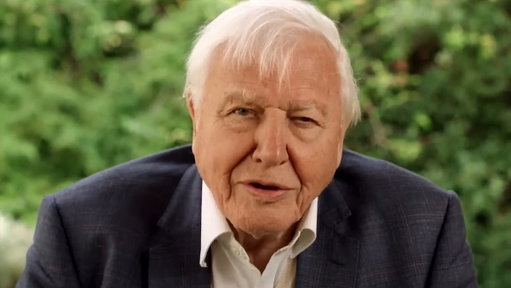 100 years old and still the coolest person alive. Happy birthday, Sir David! 