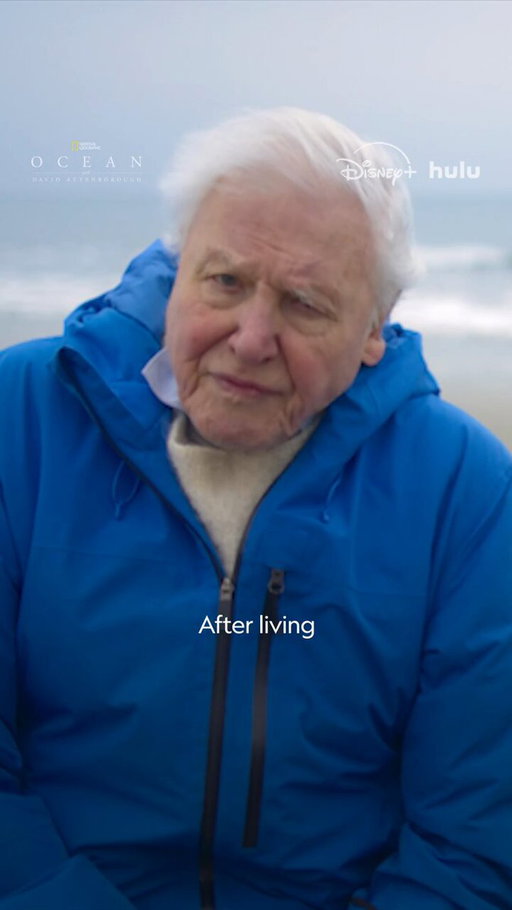 Wishing a Happy Birthday to Sir David Attenborough. Thank you for the knowledge, passion, and hope you’ve passed on to all of us. 

Celebrate 100 years of Sir David Attenborough with Ocean with David Attenborough on @DisneyPlus and @hulu 