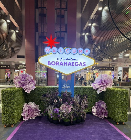 ARMY 💜 Welcome to Fabulous Borahaegas. 
 
When you touch down at @LASairport, head to Level 2 of Terminal 1 between the C & D gate ticketing areas for your first photo opp 📸 We also have one set up at Terminal 3. We have a lot more coming your way this week that you're going to want to see. Can't wait to see you all and hope you enjoy everything Vegas has in store for BTS.
 
#BTS_THECITY_ARIRANG #BTS_THECITY_ARIRANG_LASVEGAS
