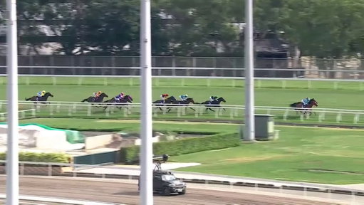 WE HAVE A TRIPLE CROWN WINNER!

Romantic Warrior became just the third horse to win Hong Kong's Triple Crown, taking the Hong Kong Champions &amp; Chater Cup (G1) at Sha Tin Racecourse. @mcacajamez in the irons on the mighty gelding. 