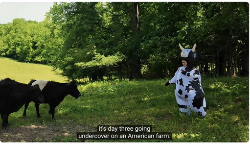 You never know what you're going to get with a @imbrettcooper ad read 🐮 