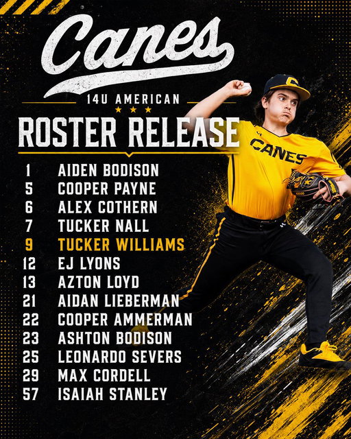 Our American teams are ready😤

#thecanes #DifferentBrandOfBaseball 