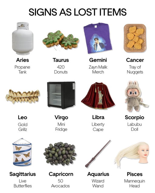 The weirdest and most unique finds in the backseat, matched with your zodiac sign 🔎 