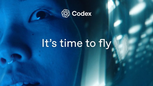 It's time to fly. 