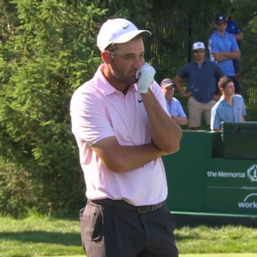 Bob watching his hole in one ball slice off the property 