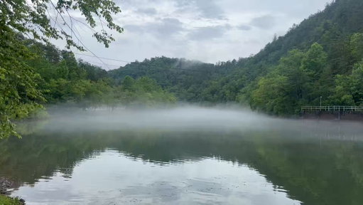 Somewhere in Tennessee 