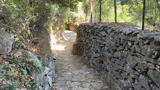 On Naxos, meet a 15-foot-tall boy who broke his leg 2,600 years ago. The Flerio Kouros hasn’t healed...he seems kind of lonely...and you can enjoy an unforgettable moment alone in a shady corner of that sun-burnt island with him. 

Look for our new Greek Isles guidebook in 2027! 