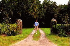 Us running to X to see if Instagram is down 