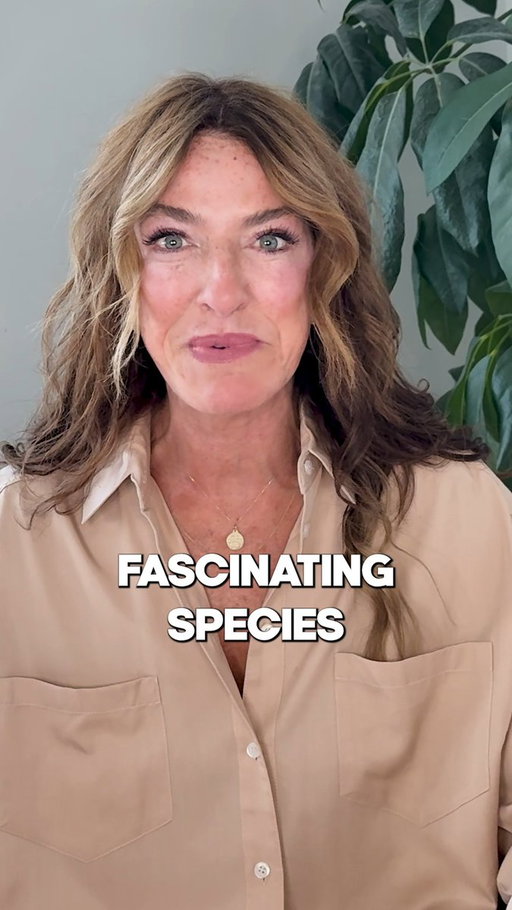 Just a girl trying to understand the most fascinating species on earth... 

Full episode is out now on Spotify, Apple Podcasts &amp; YouTube 💛 
