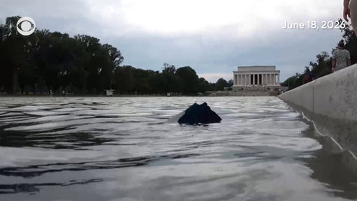 Paint was seen peeling from the floor of the Lincoln Memorial Reflecting Pool in Washington, D.C. on Thursday, weeks after a $14 million renovation that included a new color President Trump called “American Flag Blue.” 