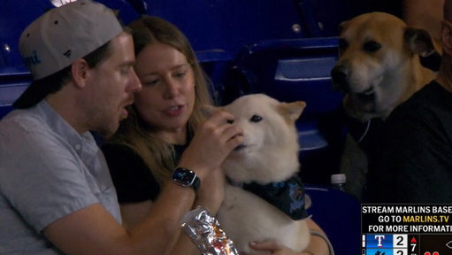 It's tough seeing others live out your dream 🐶🌭 