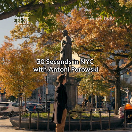 A great city, a great guide, and a great dog! Take a stroll through New York City with Antoni Porowski. 

#BestOfTheWorld with Antoni Porowski is now streaming on @DisneyPlus and @hulu. 