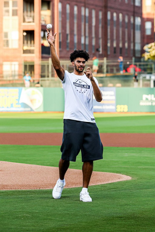 Diamond Duty ⚾️🐻 