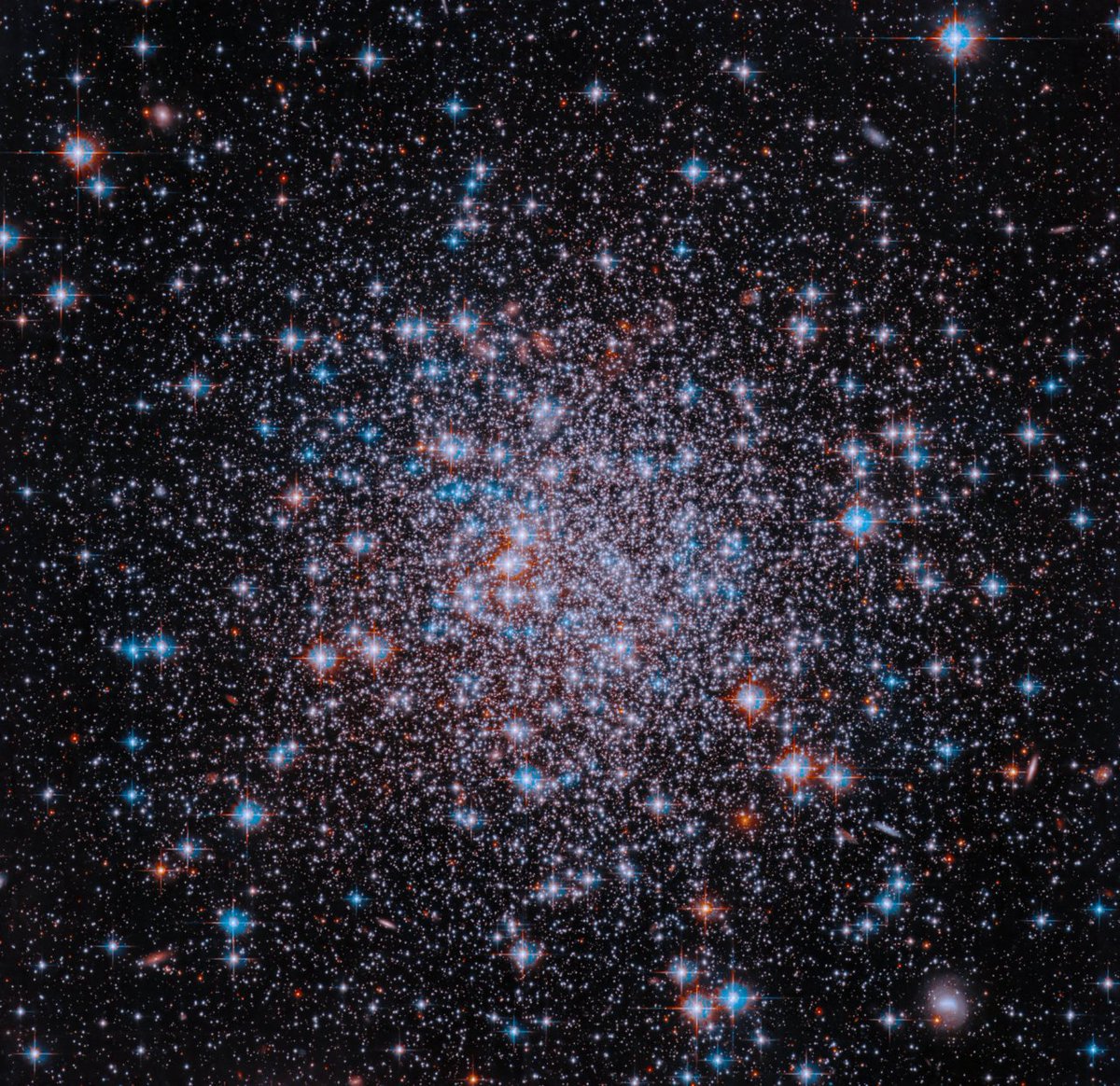 Happy 250th birthday, America! We got you a present. 🇺🇸

The red, white, and blue stars of this globular cluster shine like a sparkler waved on a dark night in this image from @NASAHubble, released in celebration of the United States' 250th anniversary. 