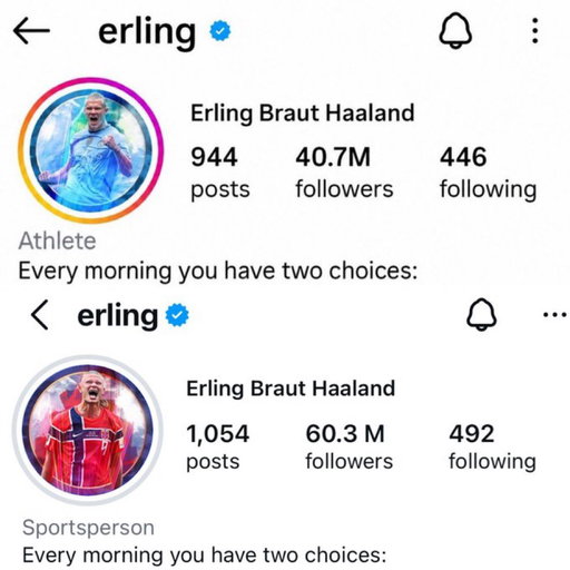 🚨Erling haaland has gained close  20m followers in 2 weeks of the World Cup 