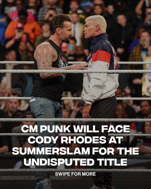 Cm Punk Vs Cody Rhodes for the WWE Undisputed Championship

📸: Getty 