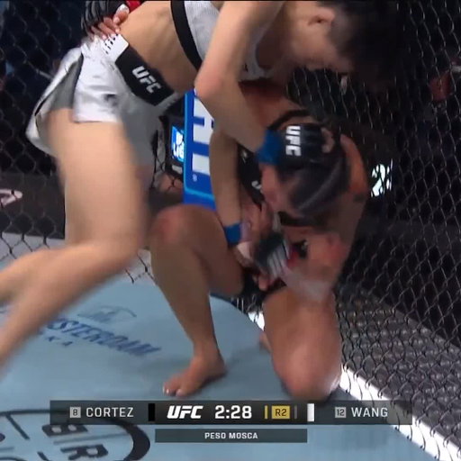 Qué fue eso? 👀 

Wang Cong 🇨🇳 conecta una rodilla ilegal sobre Tracy Cortez 🇲🇽 

Se pausa la pelea y la comisión descuenta un punto a la china 😱

#UFC329 | Ver en vivo por @PPlusDeportes 