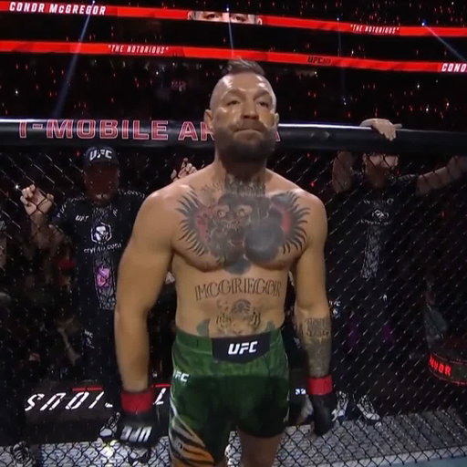 EL ÚNICO E INIGUALABLE ☘️

CONOR MCGREGOR 🇮🇪

#UFC329 | Ver en vivo por @PPlusDeportes 