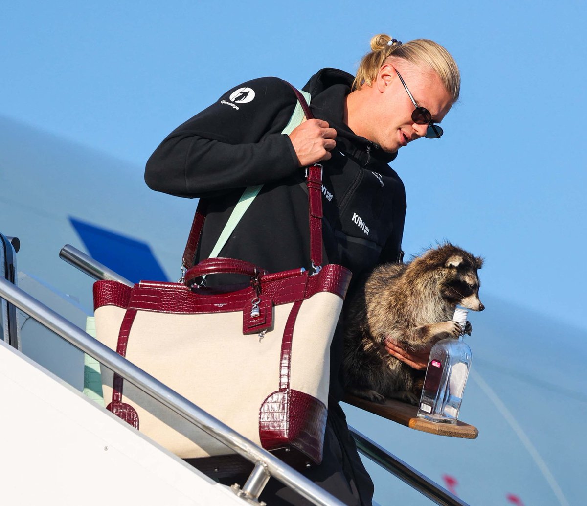 Erling Haaland arrived back in Norway with the most American souvenir possible

A stuffed raccoon drinking whiskey 