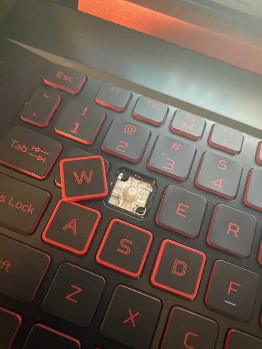 Streamer University literally just started and I already broke the W key on my keyboard from spamming W's to hard in the chat😭😭😭😭 