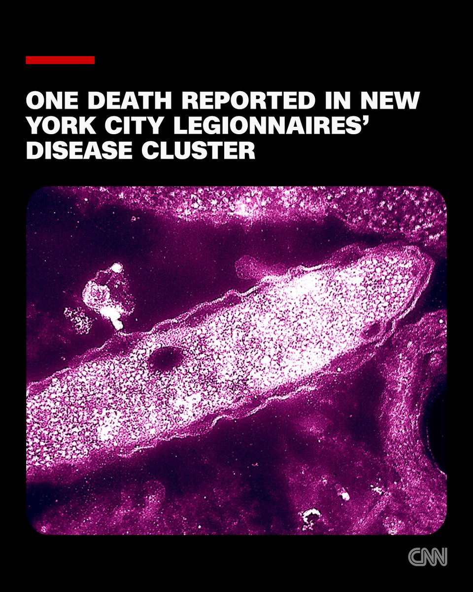 One person has died in connection with a cluster of Legionnaires’ disease cases in New York City, Health Commissioner Dr. Alister Martin said. https://t.co/61huYRIWWA 