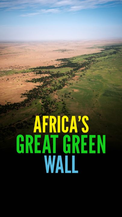 There's a wall in Africa visible from space - and it's made of trees, not bricks 🌍 

The Great Green Wall will be 8,000 km long, spanning 11 countries, and might just be one of the most ambitious environmental projects on the planet 🌍

#SmileyNews #ClimateAction #FYP #GreatGreenWall

@GGWFrontline @GreenWallAfrica