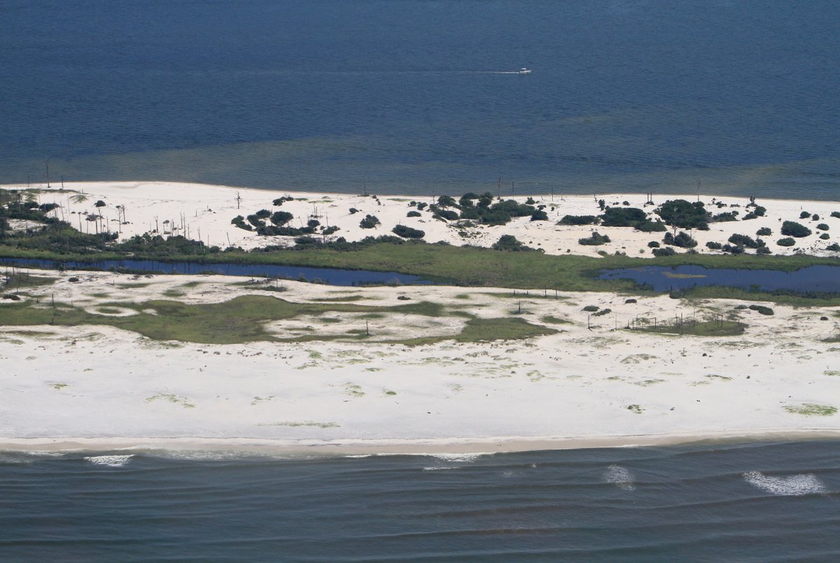 Nolan Wells Update — The Jackson County Sheriff's Office reportedly received new footage of Horn Island on July 4. Here's what it shows: https://t.co/dGMdLddd6C 