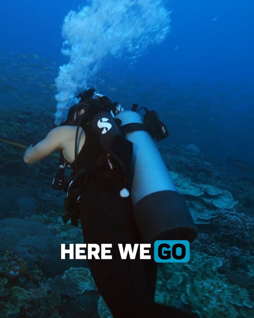 Well, that escalated quickly 😳 Phil and Heather investigate whether decades of nuclear testing in the Marshall Islands could be linked to reports of unusually aggressive sharks when #SharkWeek returns Sunday, July 26 at 8P on Discovery. 