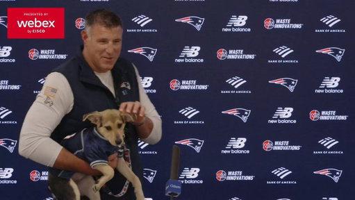 A puppy at the podium 🥰😭🐶 