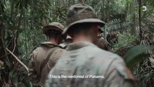 The US military is reviving its jungle training school in Panama after a 25-year hiatus. It's part of President Donald Trump's aggressive push to secure "American dominance" in the region http://bloom.bg/4tf0HWU 