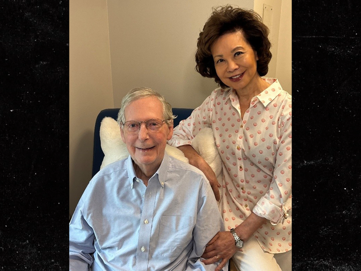 👀 BREAKING: Mitch McConnell releases new proof-of-life photo. https://t.co/8Fdoo6u7Qh 