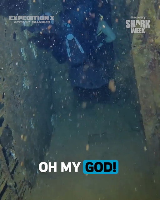 Everything's going according to plan...until Phil stops responding after entering an abandoned shipwreck. 🫢

See what happens on Expedition X Atomic Sharks during #SharkWeek all week long at 8P on Discovery. 