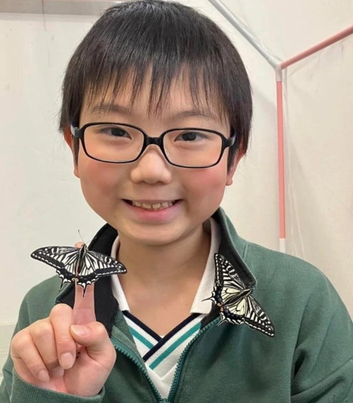 A 10 year-old boy from Japan discovered that butterflies can remember their time as caterpillars.

Jo Nagai noticed his caterpillars still loved him after turning into butterflies, and the affection he had for them led to a genuine scientific discovery. 