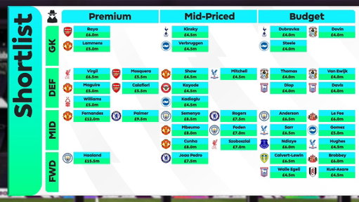 📸 Here's the player shortlist from my panel of experts. All 10%+ EO across their first drafts! 