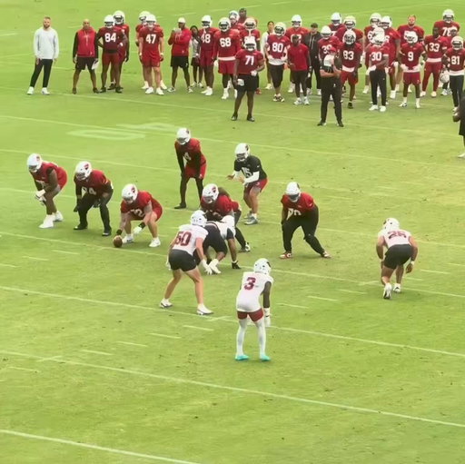 F*ck it

Cardinals training camp lowlights 