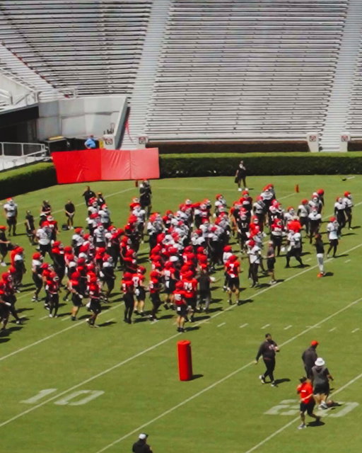 Dawgs at work 🏟️ 
